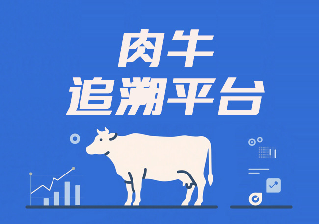 Beef cattle traceability platform
