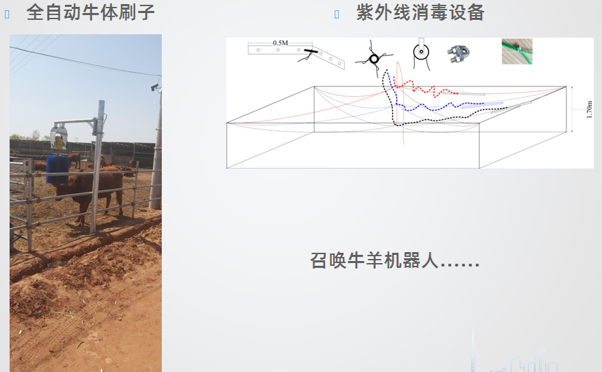 全自动牛体刷子1.jpg
