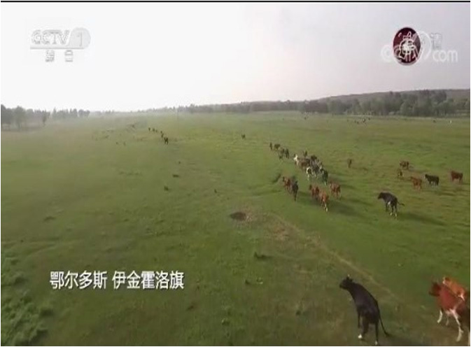 cctv1.jpg